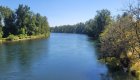 Scenic view of the Willamette River surrounded by trees along an Oregon cycling tour route