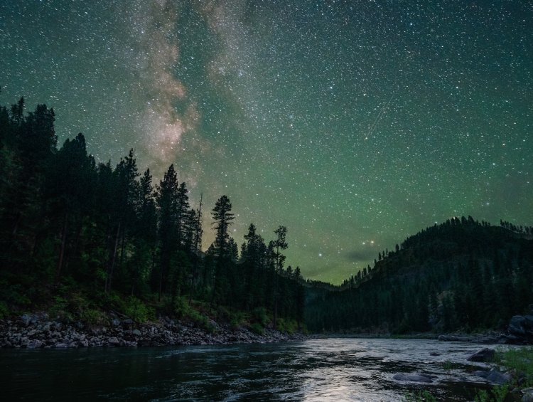 Milky Way stretching across a dark night sky above silhouetted trees and canyon walls on a wilderness rafting trip.