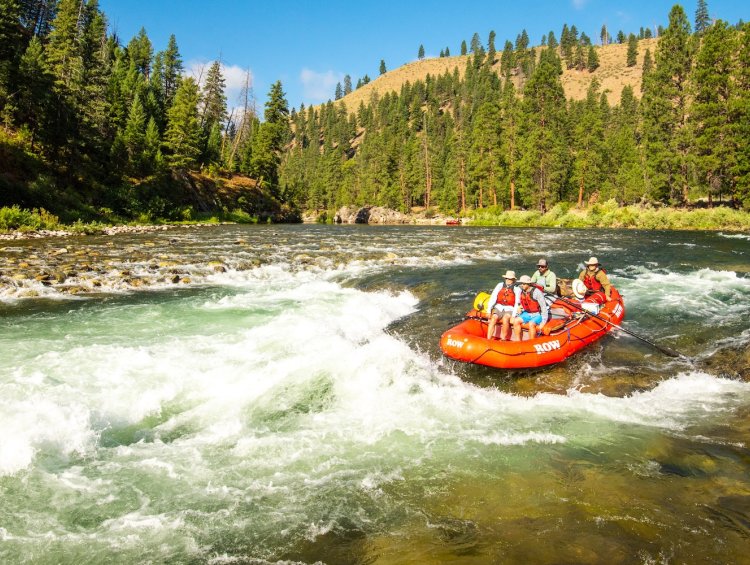 Group of rafters navigating a rapid on the Middle Fork of the Salmon River in Idaho, surrounded by pine forests and mountainous terrain under a clear blue sky.