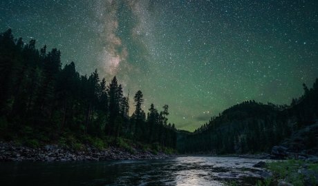 Milky Way stretching across a dark night sky above silhouetted trees and canyon walls on a wilderness rafting trip.