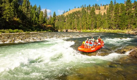 Group of rafters navigating a rapid on the Middle Fork of the Salmon River in Idaho, surrounded by pine forests and mountainous terrain under a clear blue sky.
