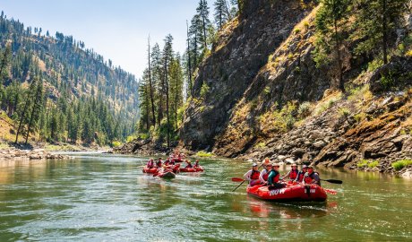Group paddling red rafts down the scenic Main Salmon River surrounded by Idaho wilderness, enjoying a Salmon River rafting trip
