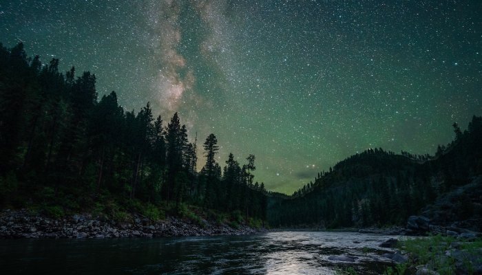Milky Way stretching across a dark night sky above silhouetted trees and canyon walls on a wilderness rafting trip.