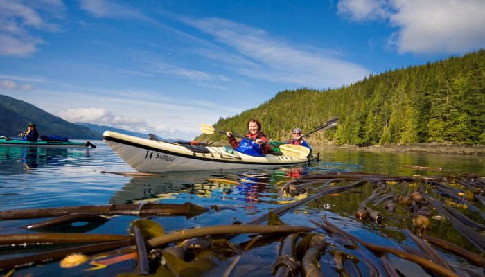 Johnstone Strait Orca Kayaking Tour