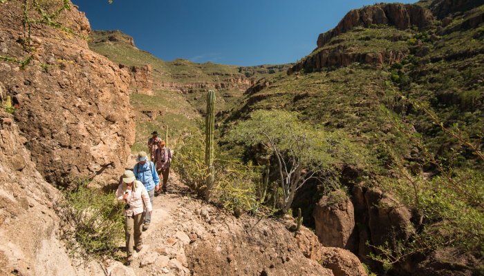 Hikers walking down the trail in Santa Teresa Canyon, Baja California Sur