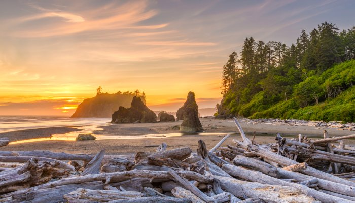 First Beach in Olympic National Park at sunset