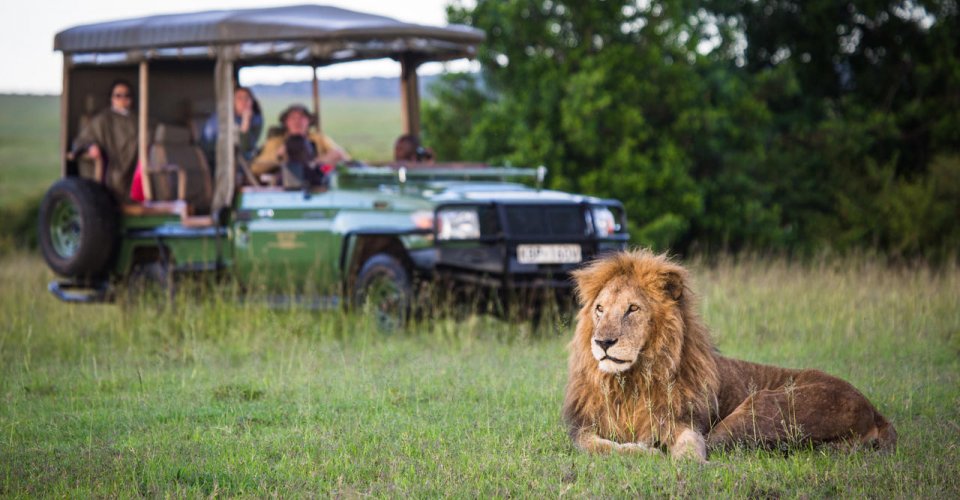African Safari with Adventure Unbound